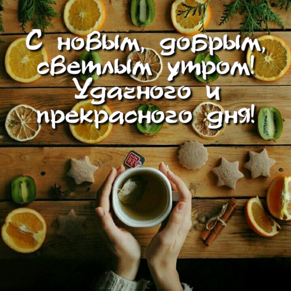 С новым, добрым, светлым утром! Удачного и прекрасного дня!