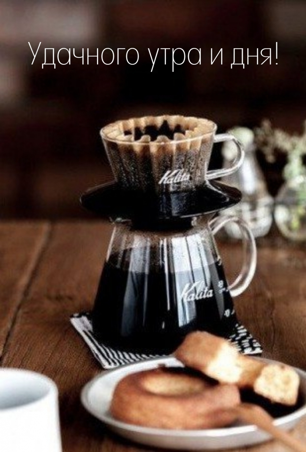 Удачного утра и дня!
