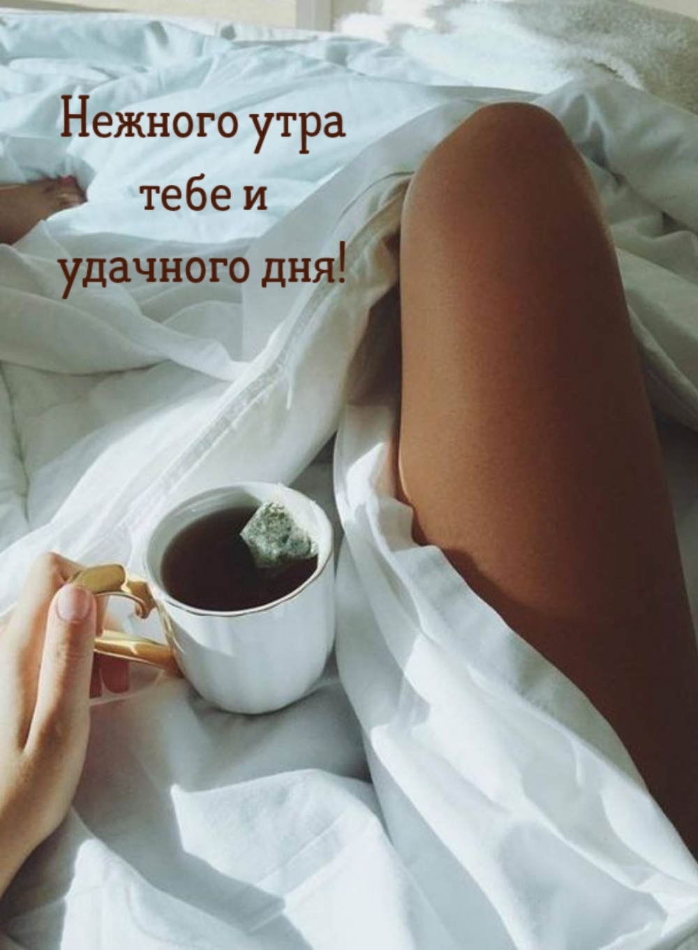 Нежного утра тебе и удачного дня!