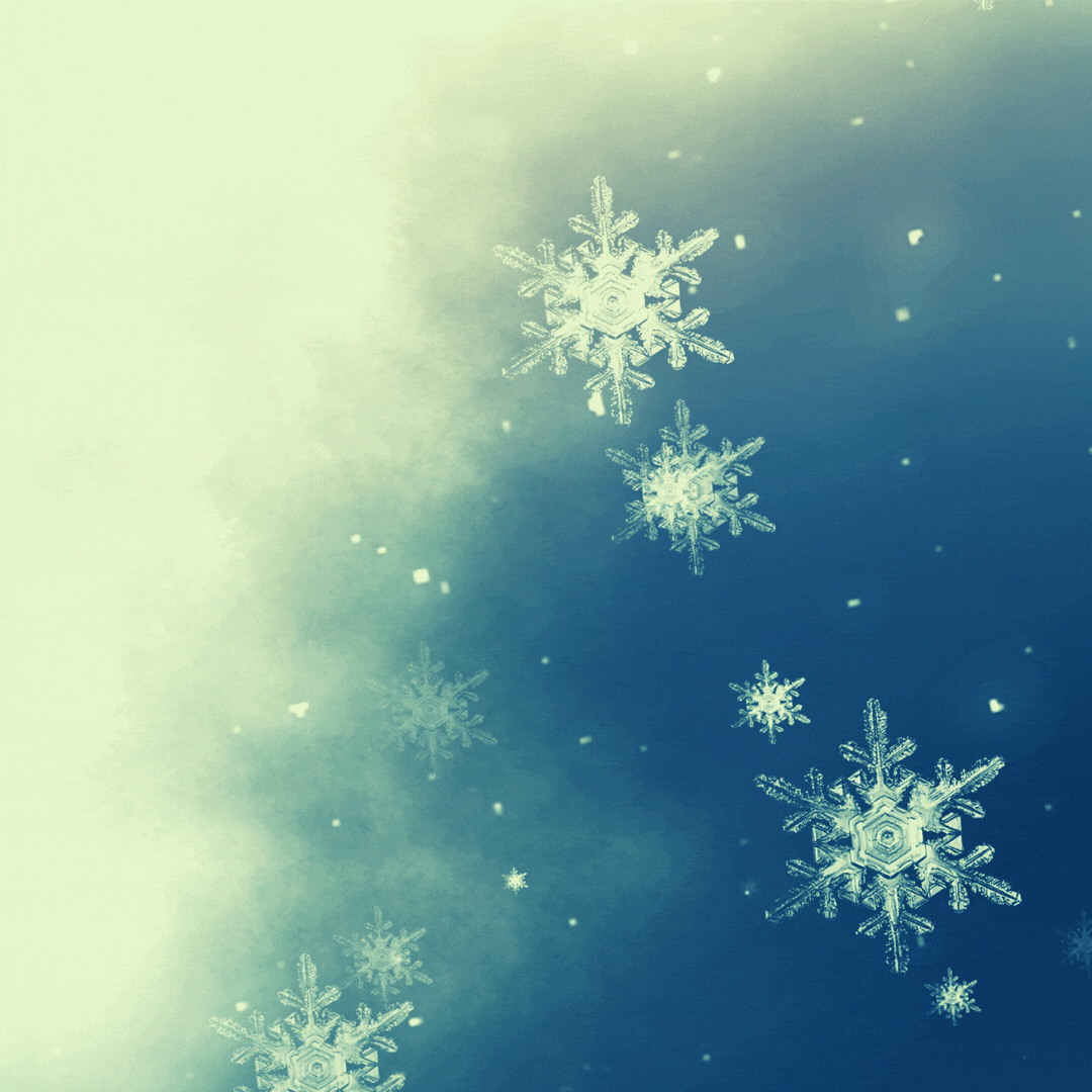 Доброе зимнее утро!