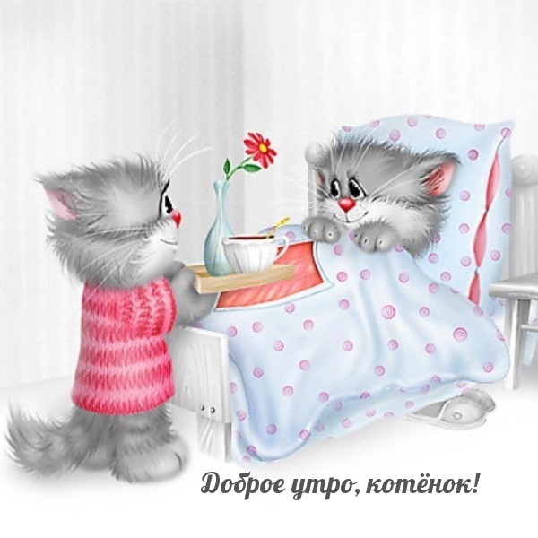 Доброе утро, котёнок!