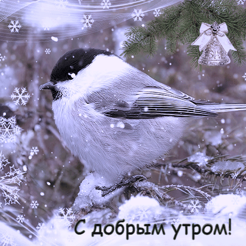 С добрым утром!