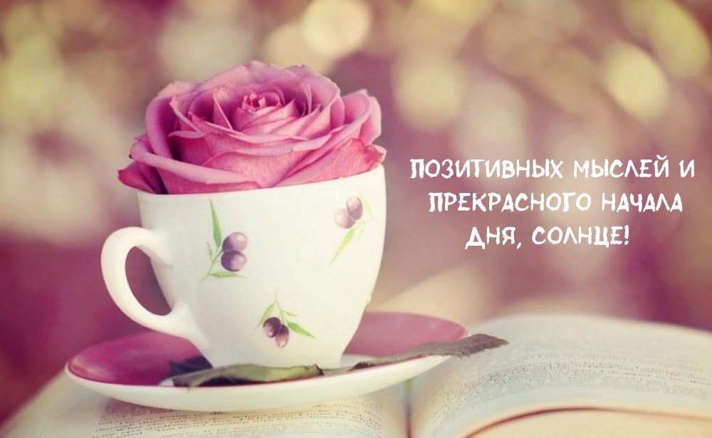 Позитивных мыслей и прекрасного начала дня, солнце!