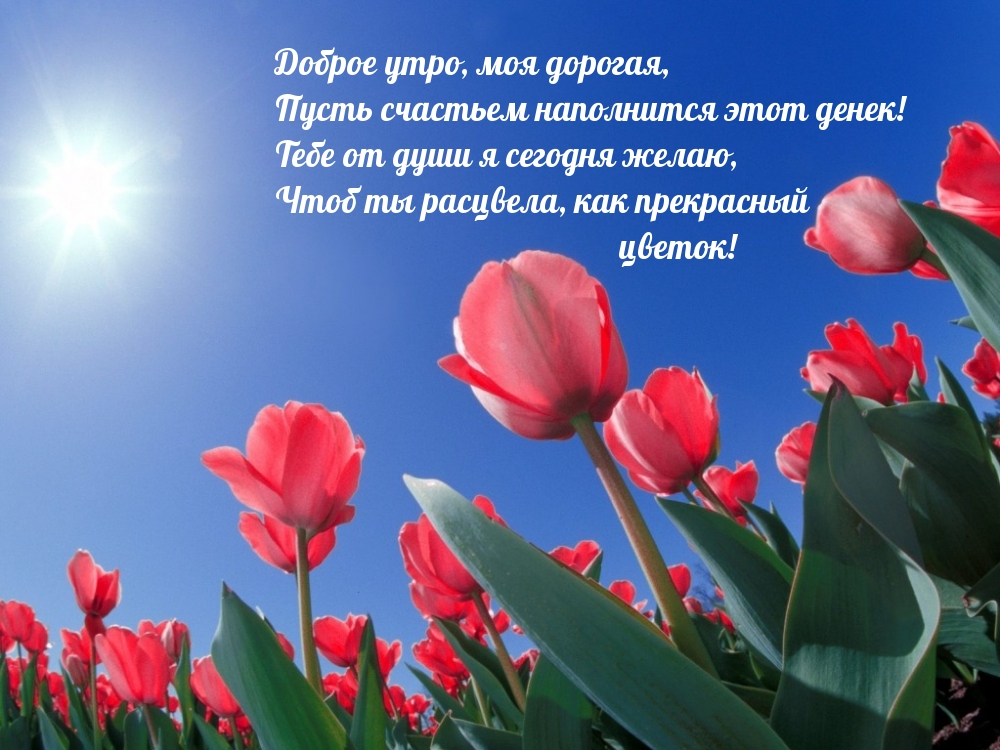 Доброе утро, моя дорогая!