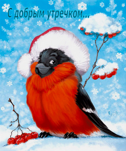 С добрым утречком…