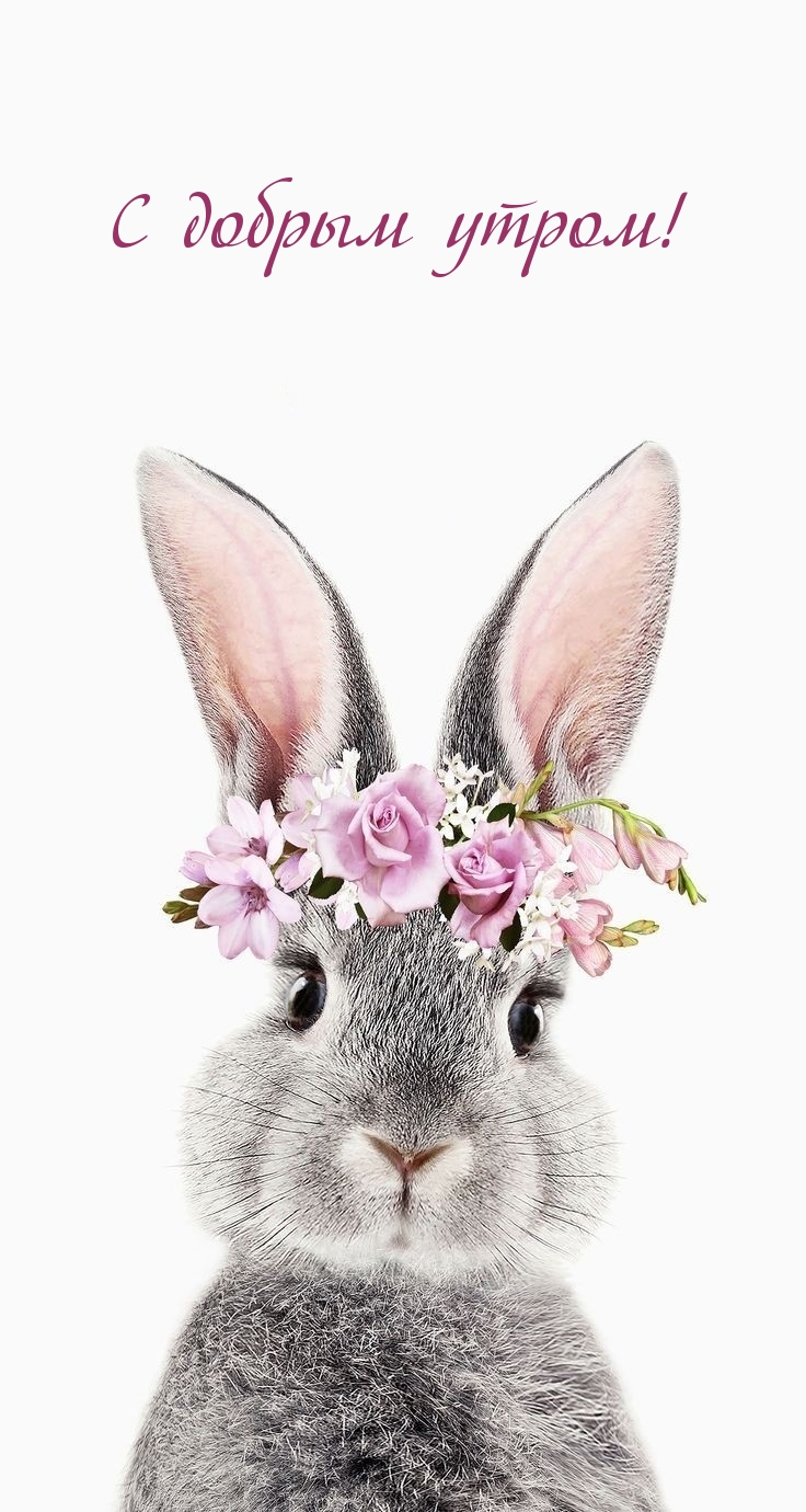 С добрым утром!