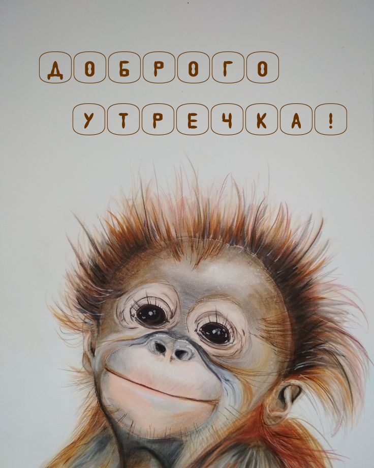 Доброго утречка!
