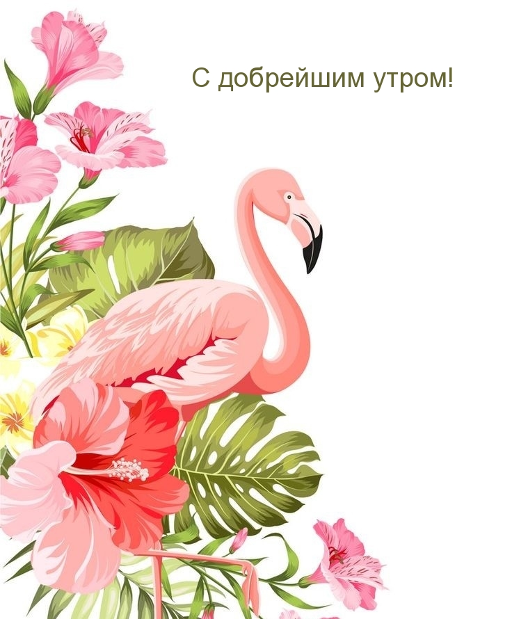 С добрейшим утром!