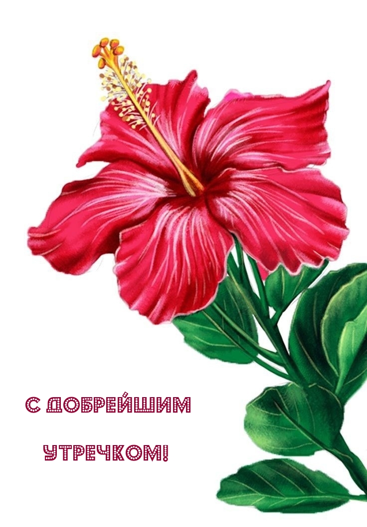 С добрейшим утречком!