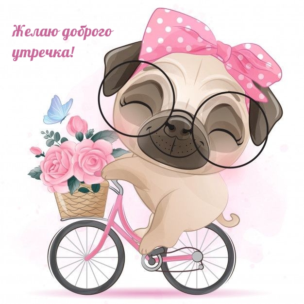 Желаю доброго утречка!