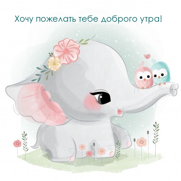 Хочу пожелать тебе доброго утра!