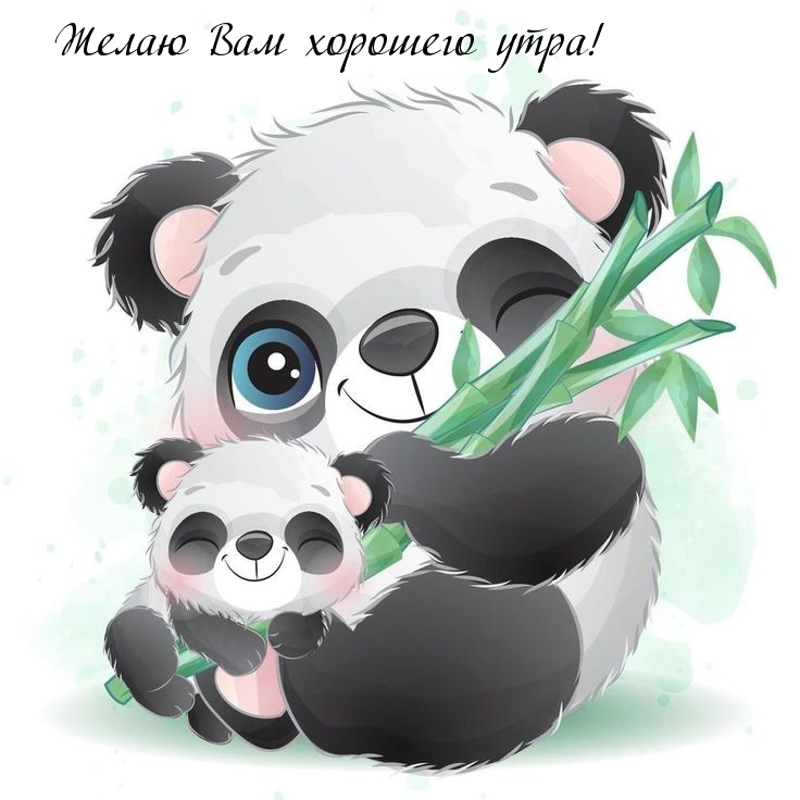 Желаю Вам хорошего утра!