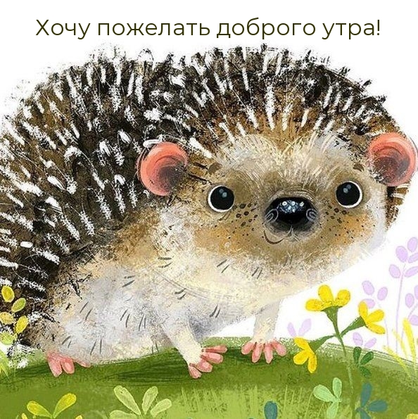 Хочу пожелать доброго утра!