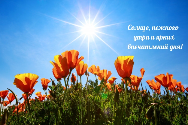 Солнце, нежного утра и ярких впечатлений дня!