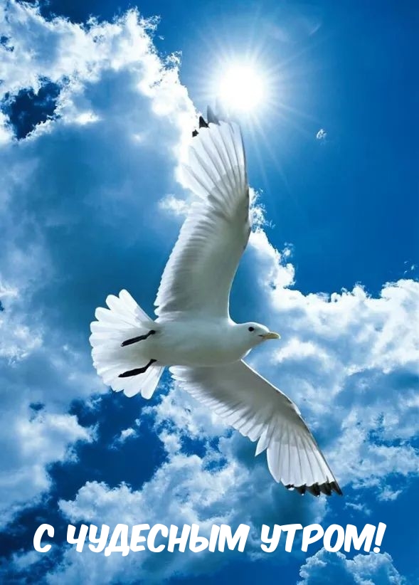С чудесным утром!
