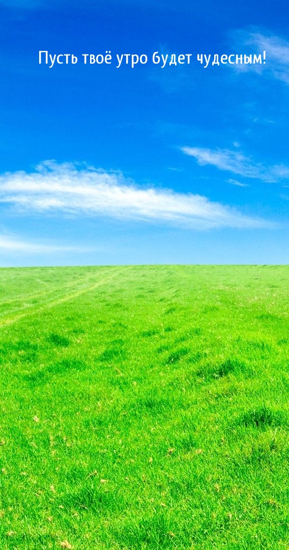 Пусть твоё утро будет чудесным!
