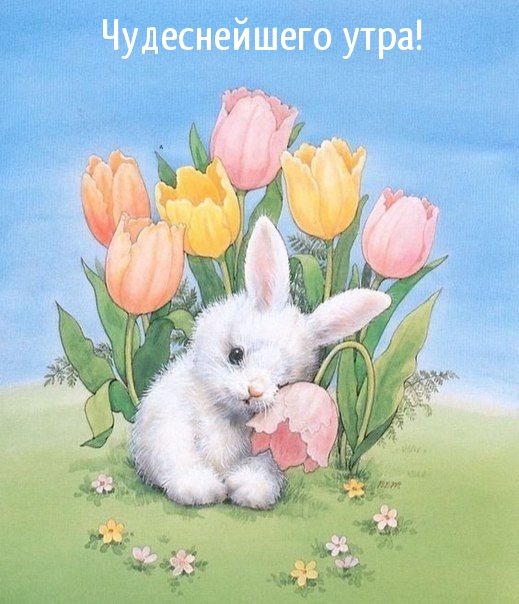Чудеснейшего утра!