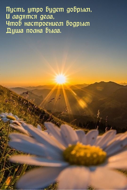 Пусть утро будет добрым, и ладятся дела.