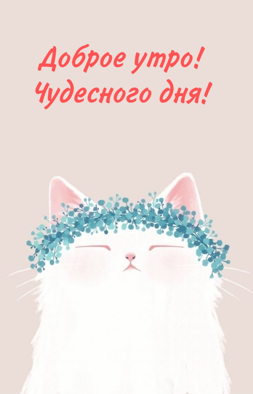 Доброе утро! Чудесного дня!