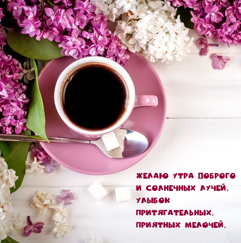 Желаю утра доброго и солнечных лучей