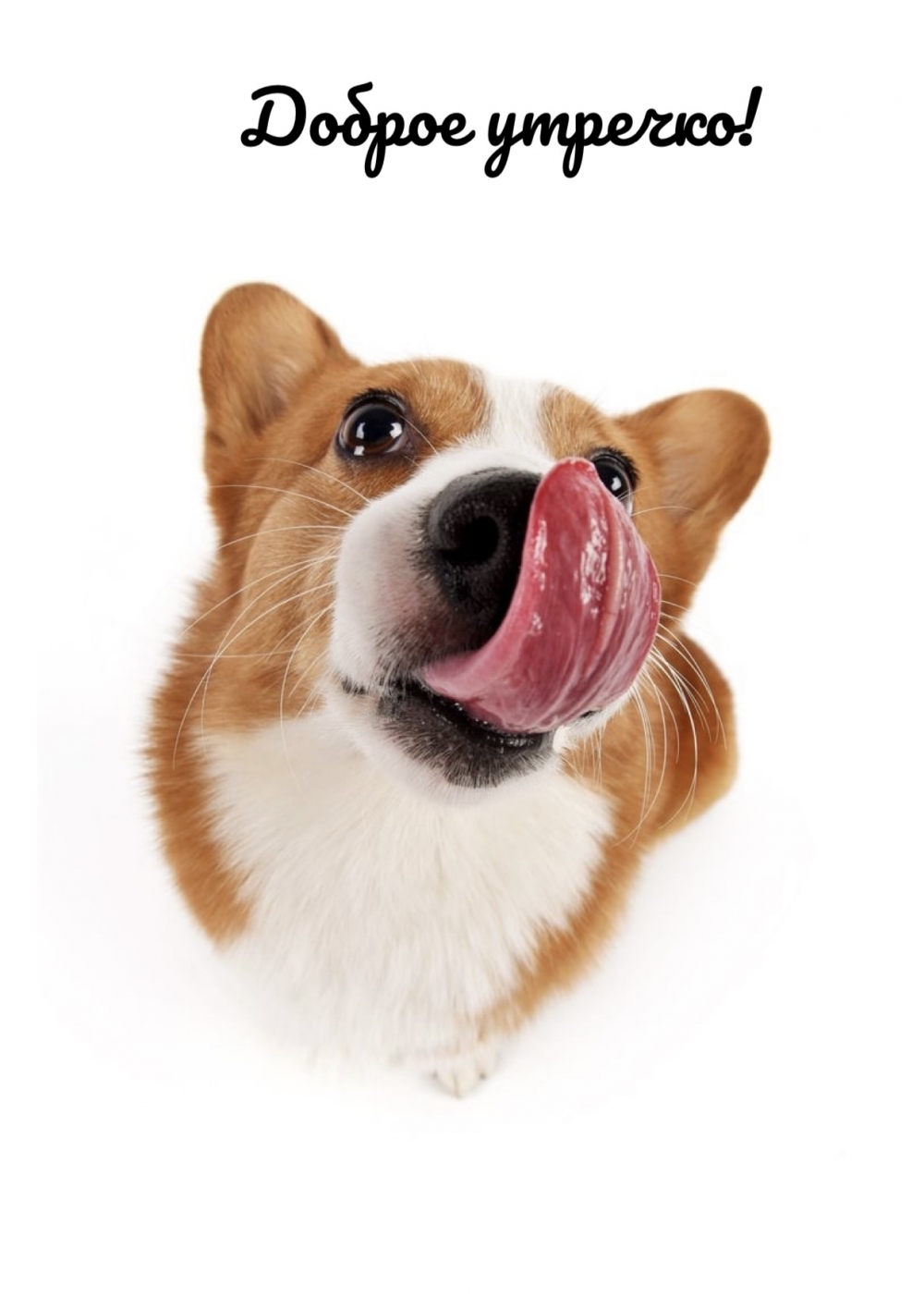 Доброе утречко!