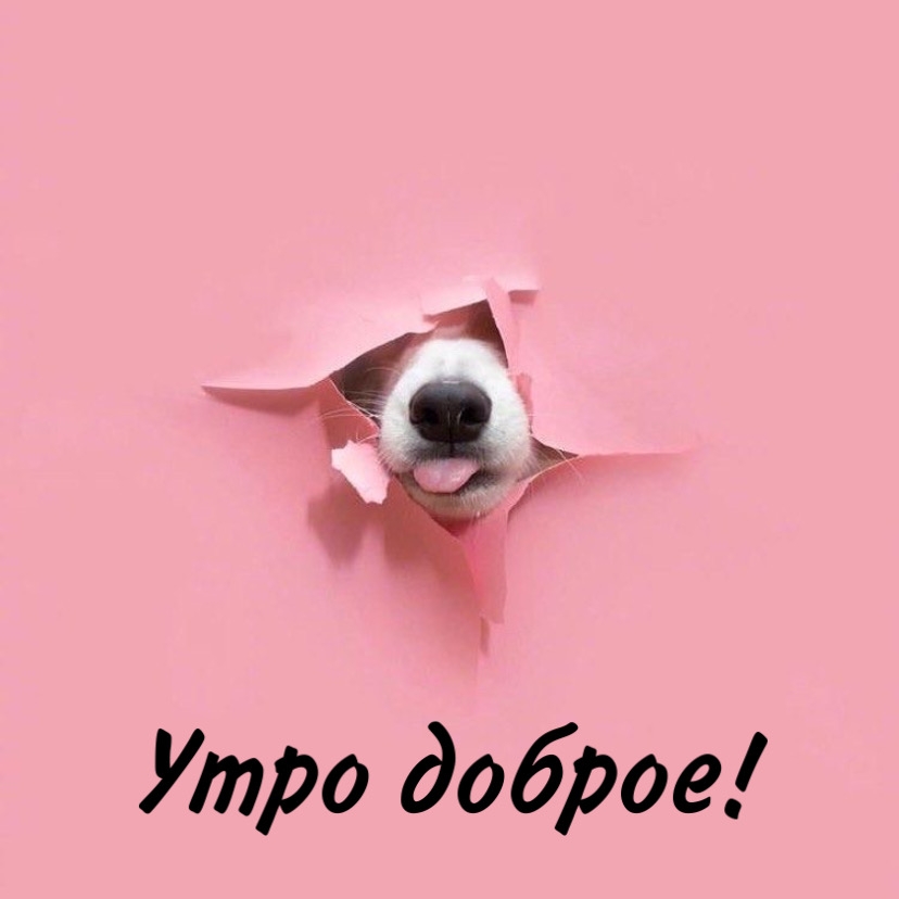 Утро доброе!