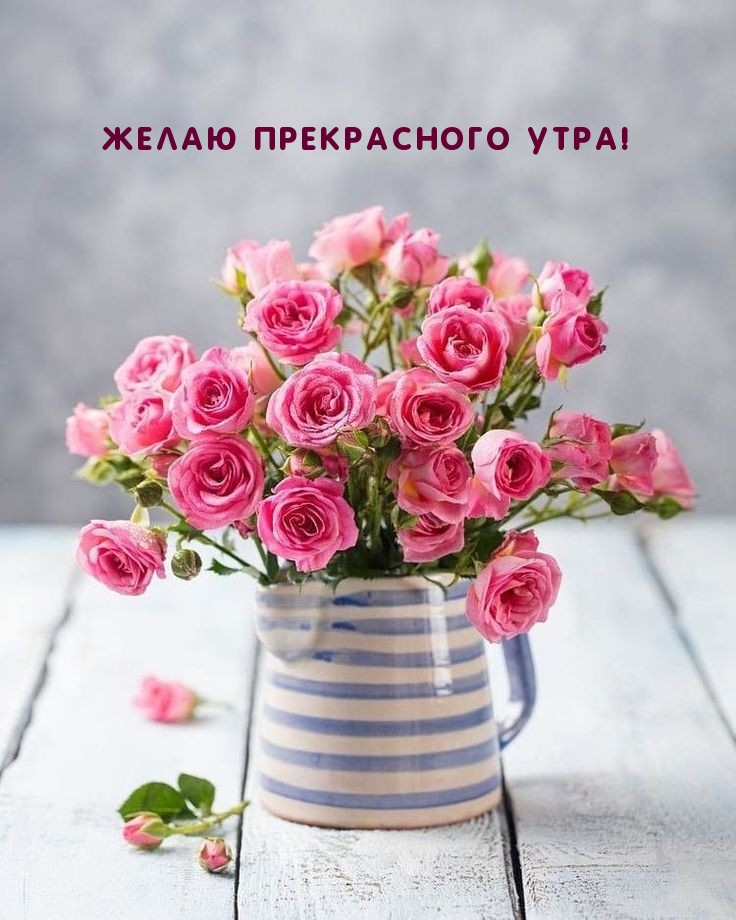 Желаю прекрасного утра!