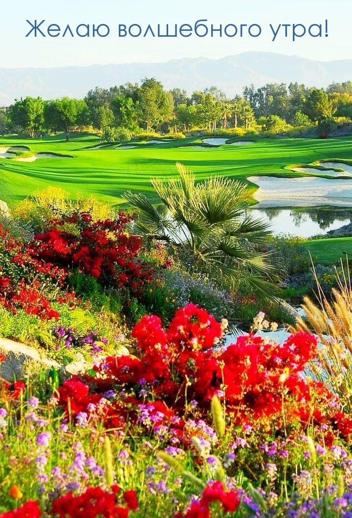 Желаю волшебного утра!