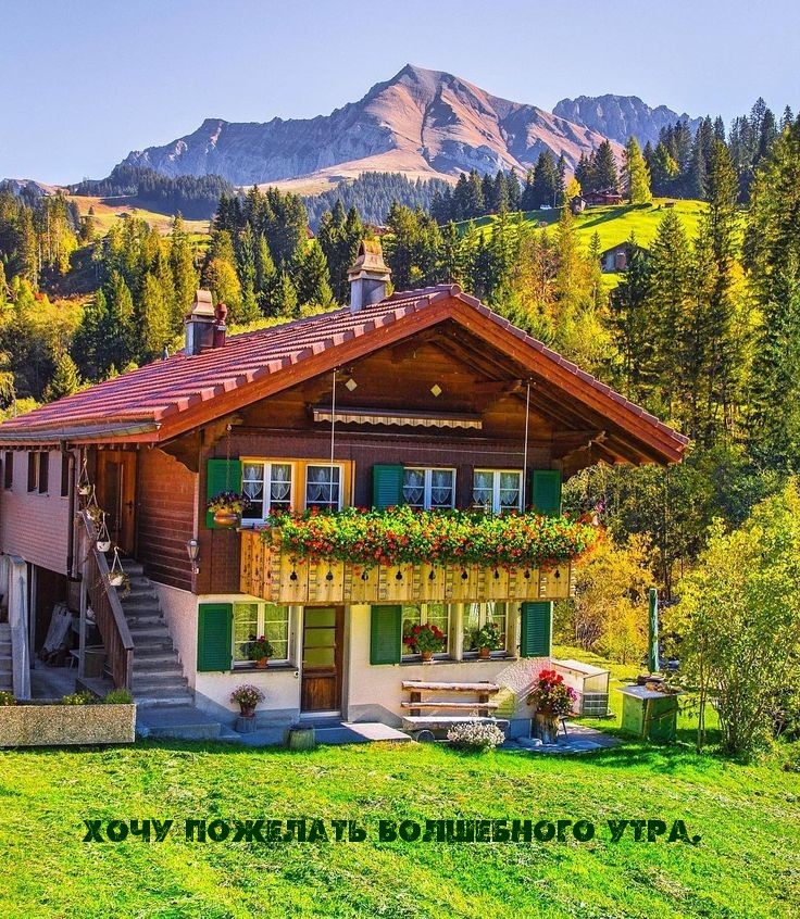 Хочу пожелать волшебного утра.