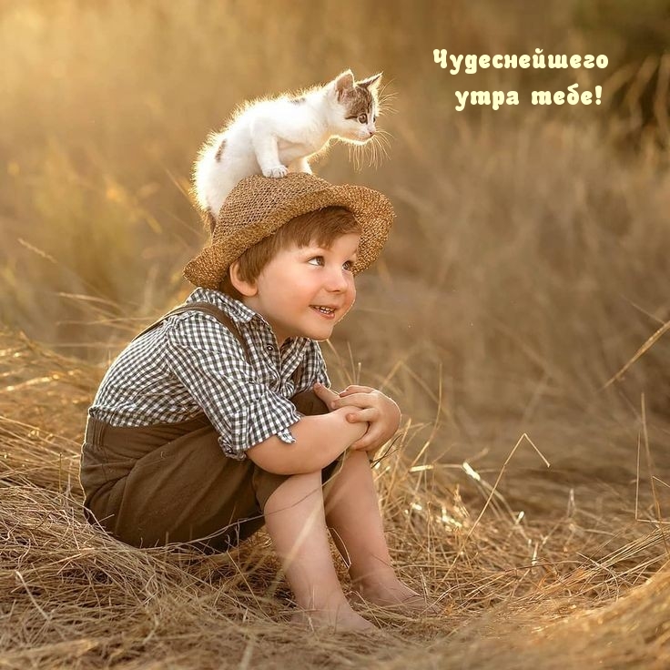 Чудеснейшего утра тебе!