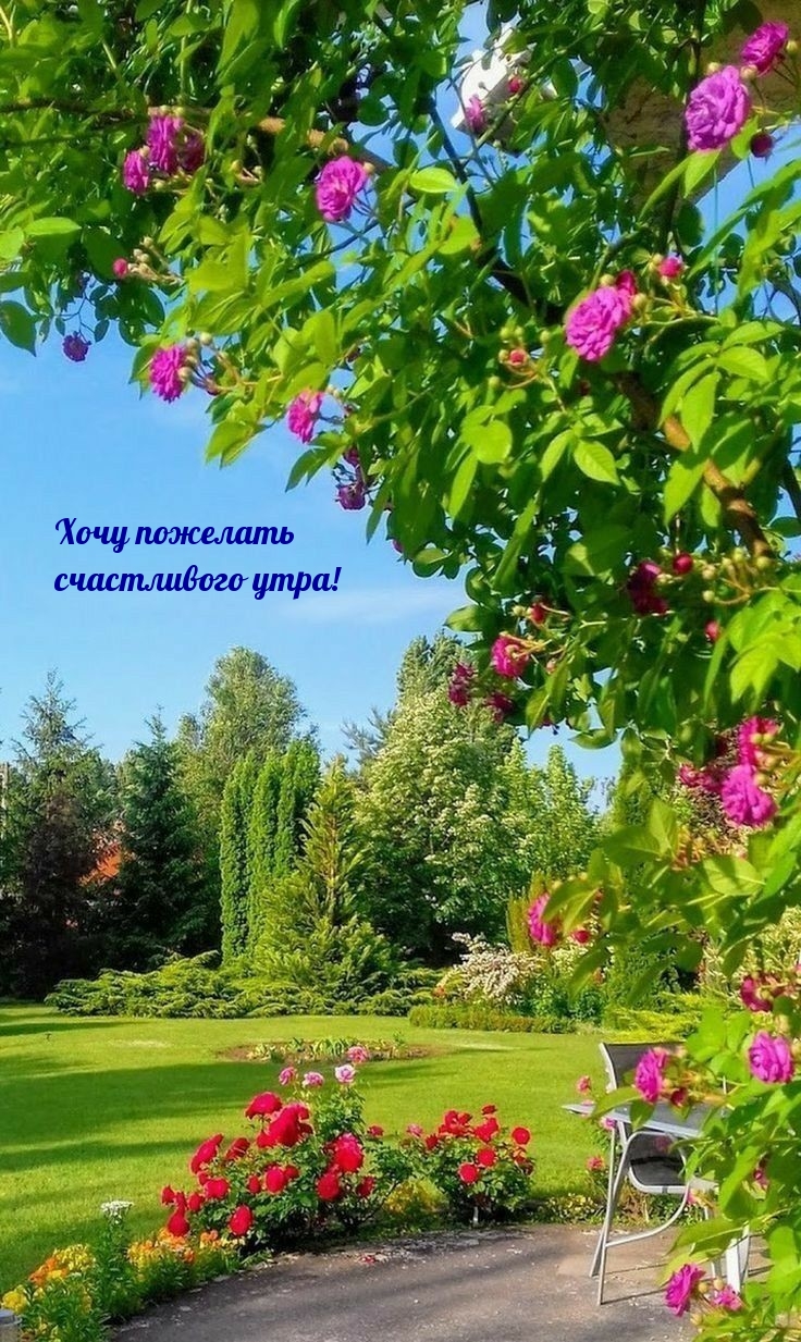 Хочу пожелать счастливого утра!