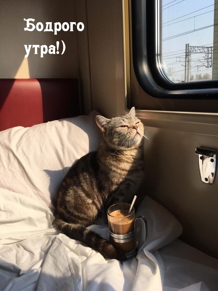 Бодрого утра!)