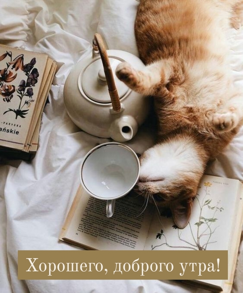 Хорошего, доброго утра!