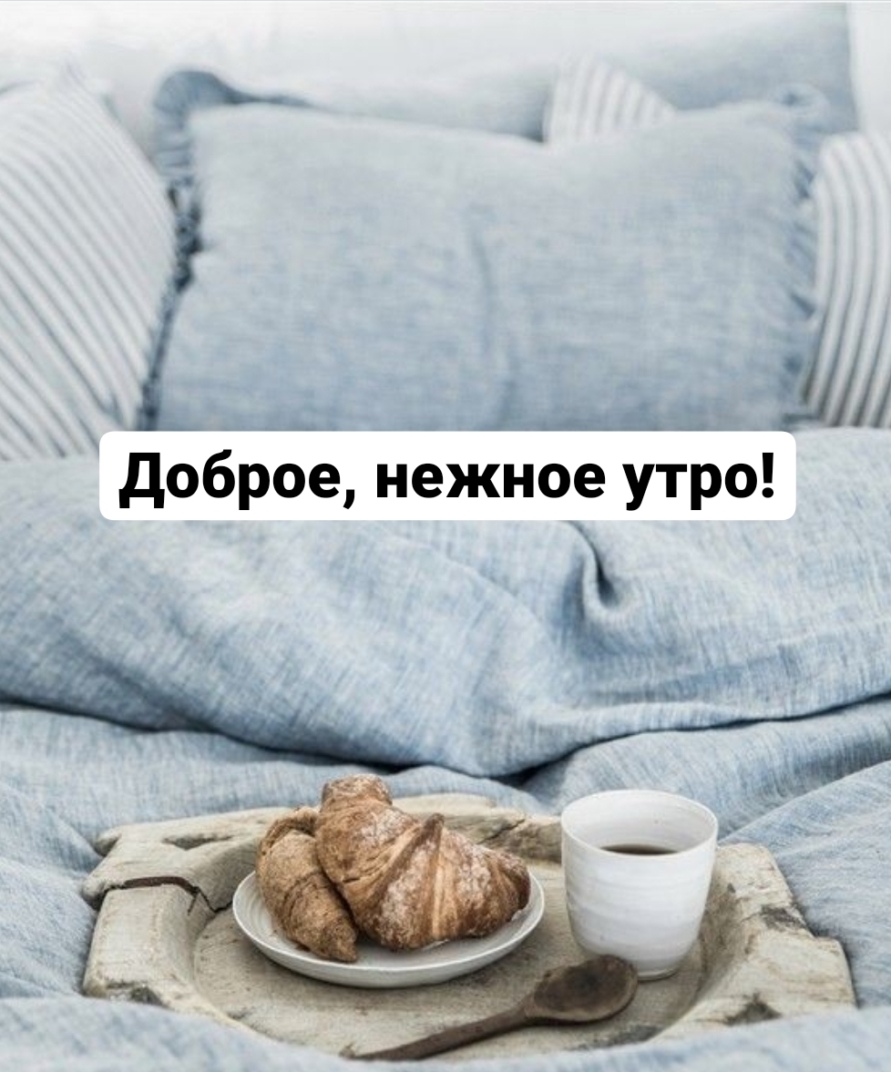 Доброе, нежное утро!