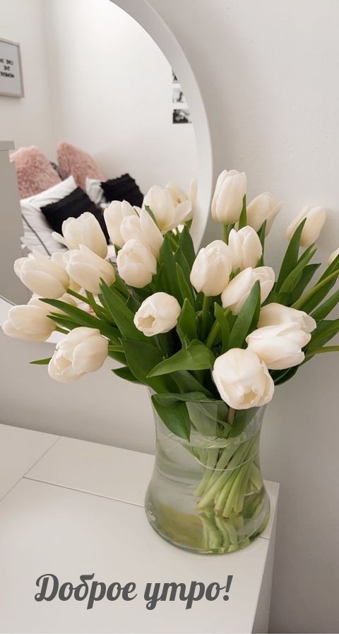 Доброе утро!