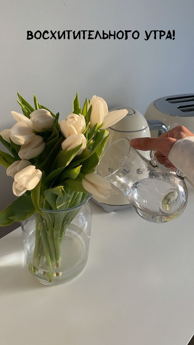 Восхитительного утра!