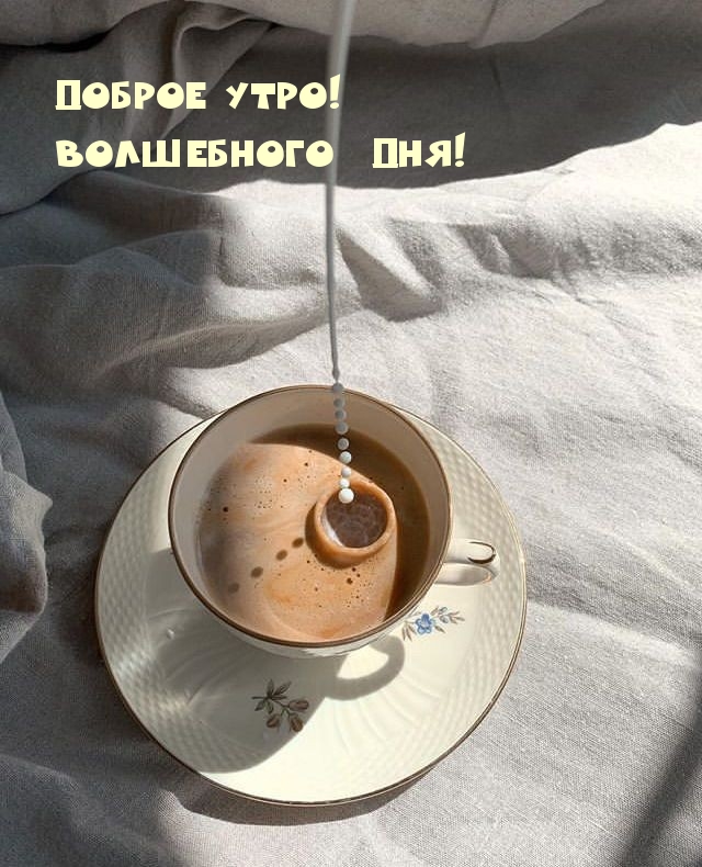Доброе утро! Волшебного дня!