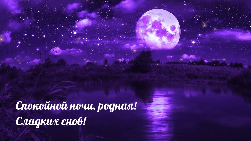 Спокойной ночи, родная! Сладких снов!