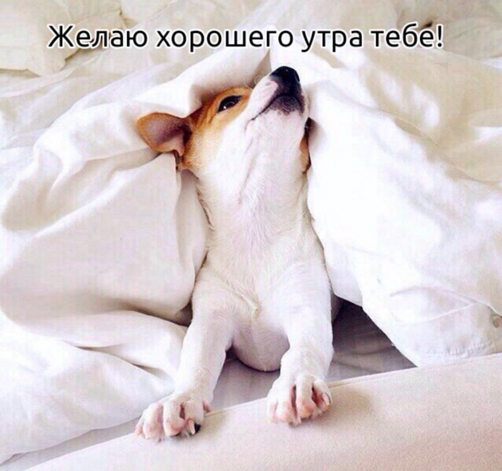 Желаю хорошего утра тебе!