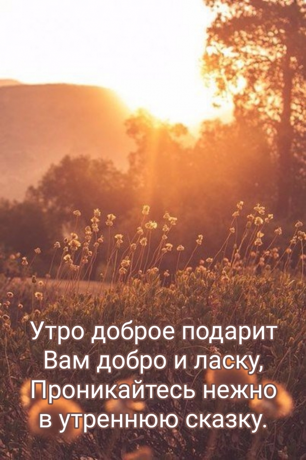 Утро доброе подарит Вам добро и ласку