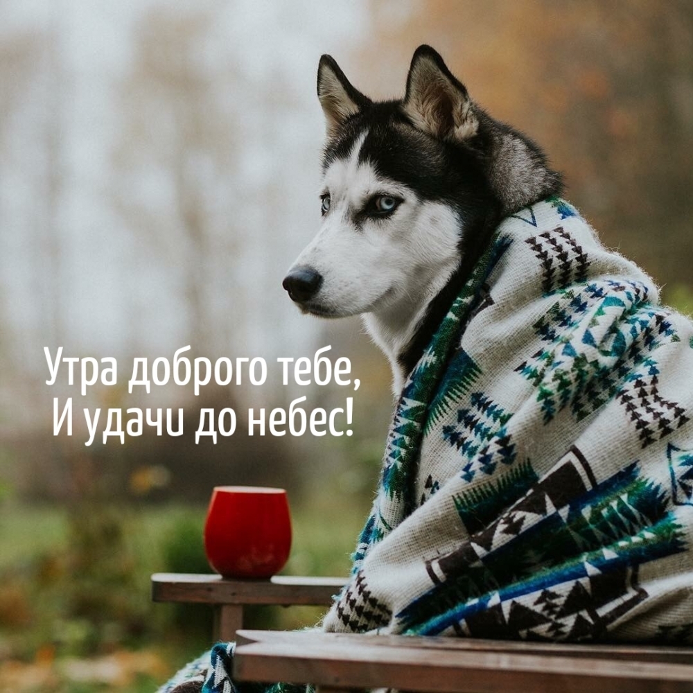 Утра доброго тебе, и удачи до небес!