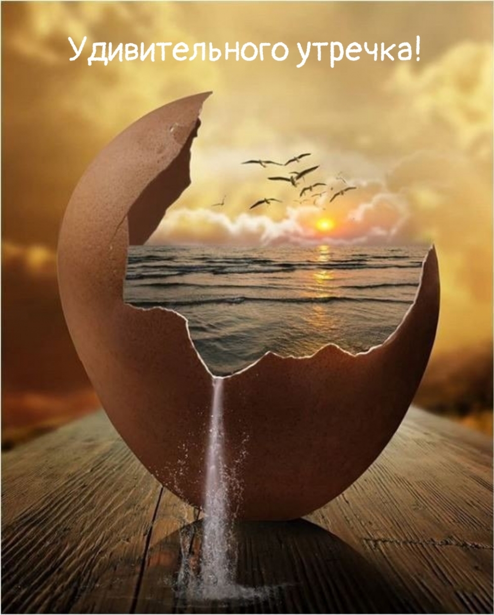 Удивительного утречка!