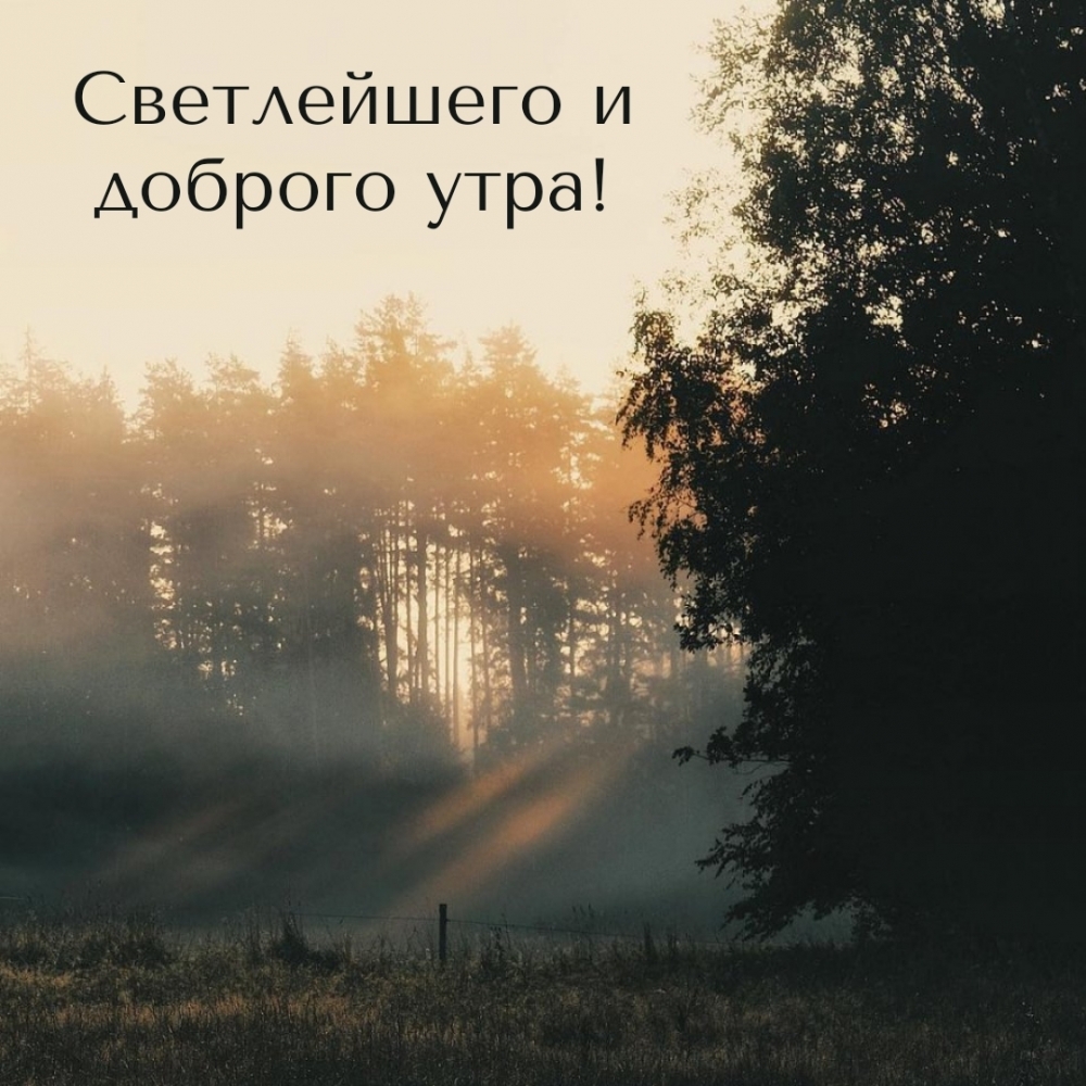 Светлейшего и доброго утра!