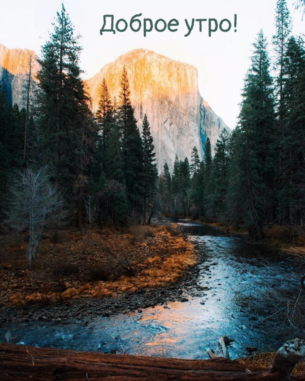 Доброе утро!