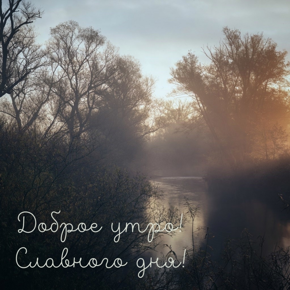Доброе утро! Славного дня!