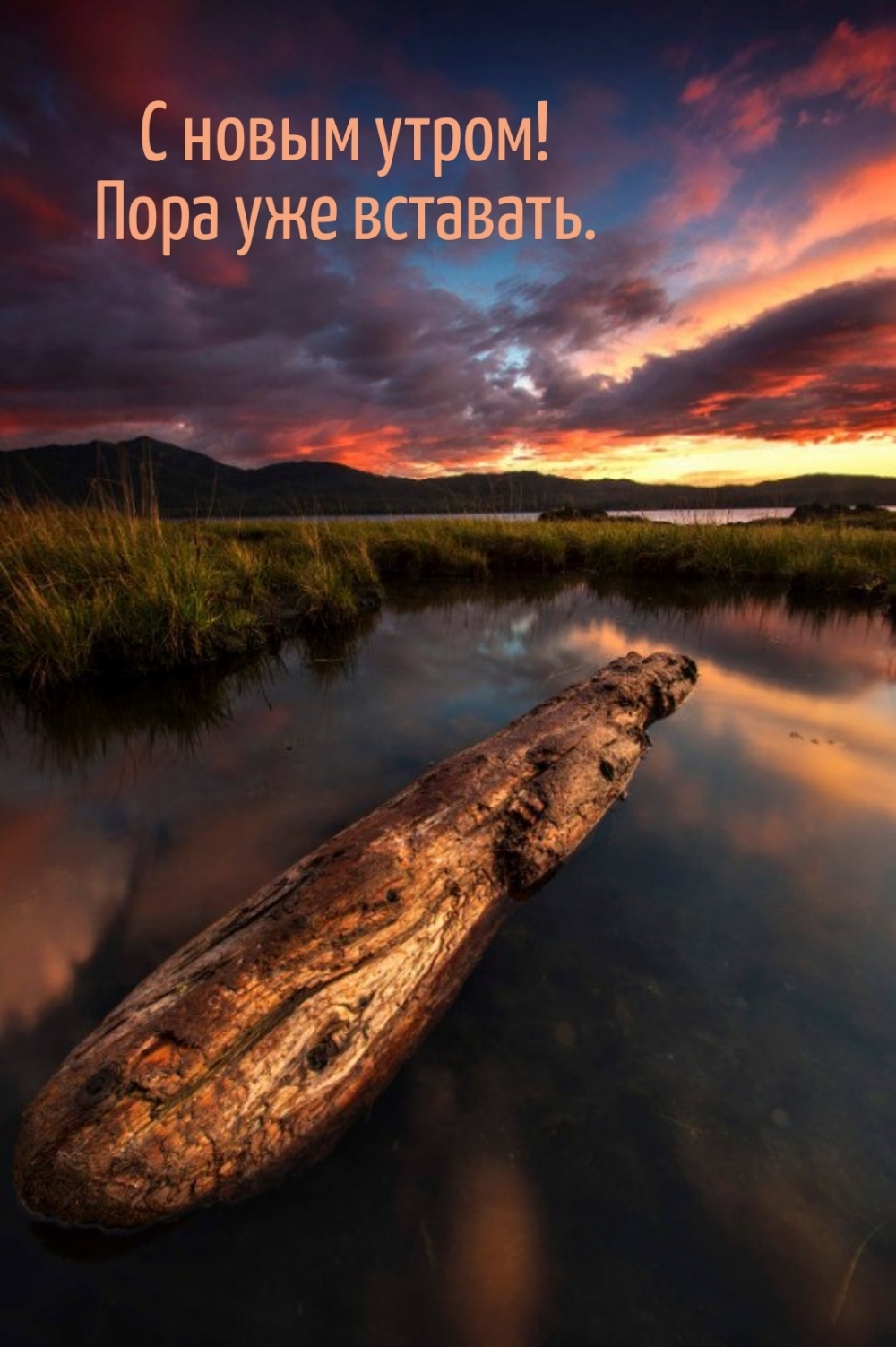 С новым утром! Пора уже вставать.