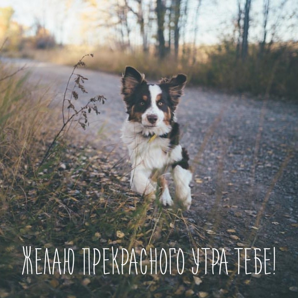 Желаю прекрасного утра тебе!