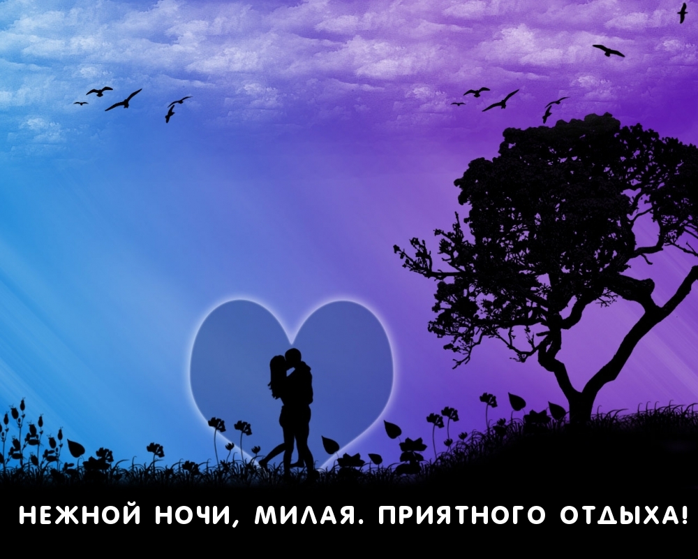 Нежной ночи, милая. Приятного отдыха!