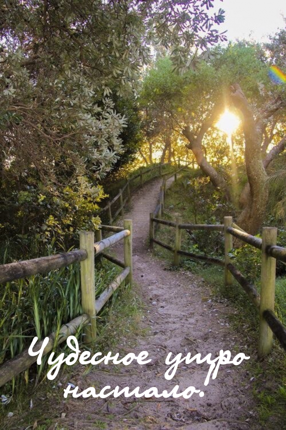 Чудесное утро настало!