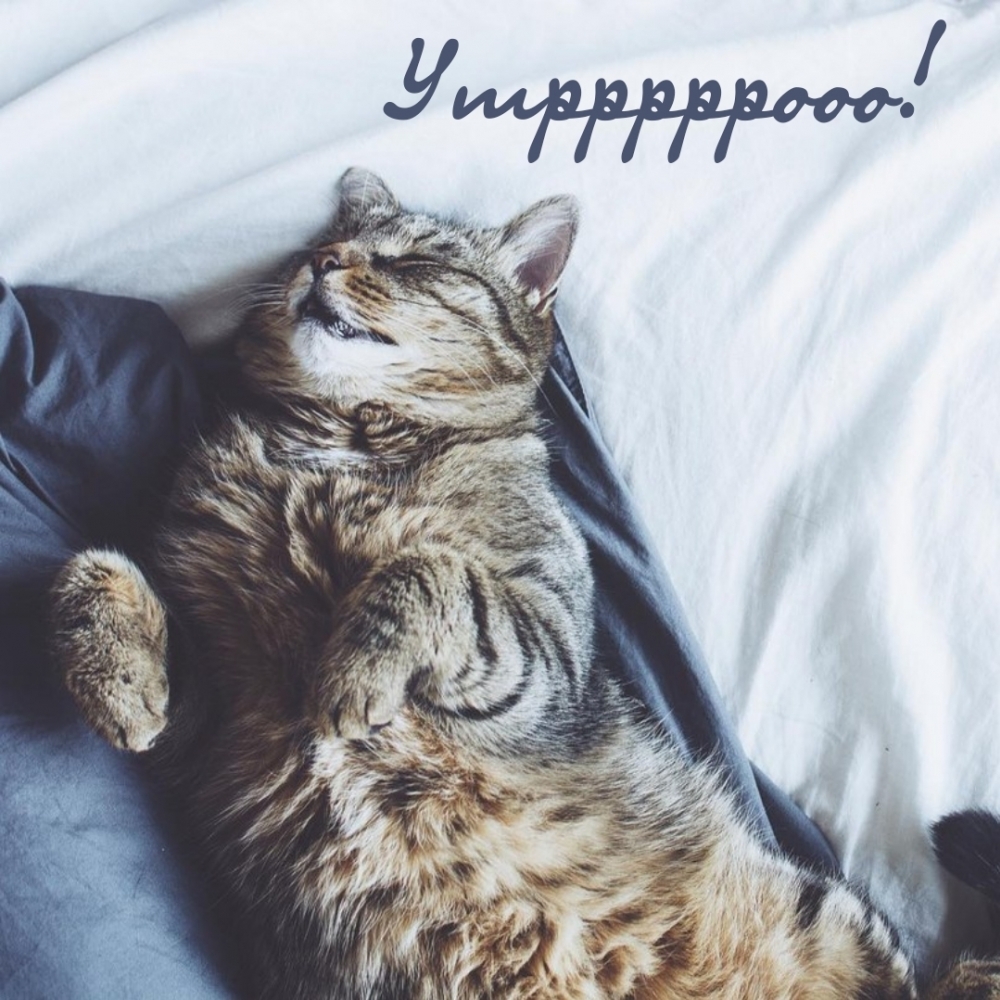 Утрррррооо!